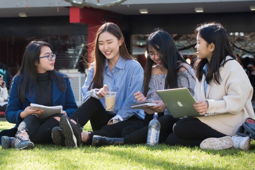 Group sitting talking on grass