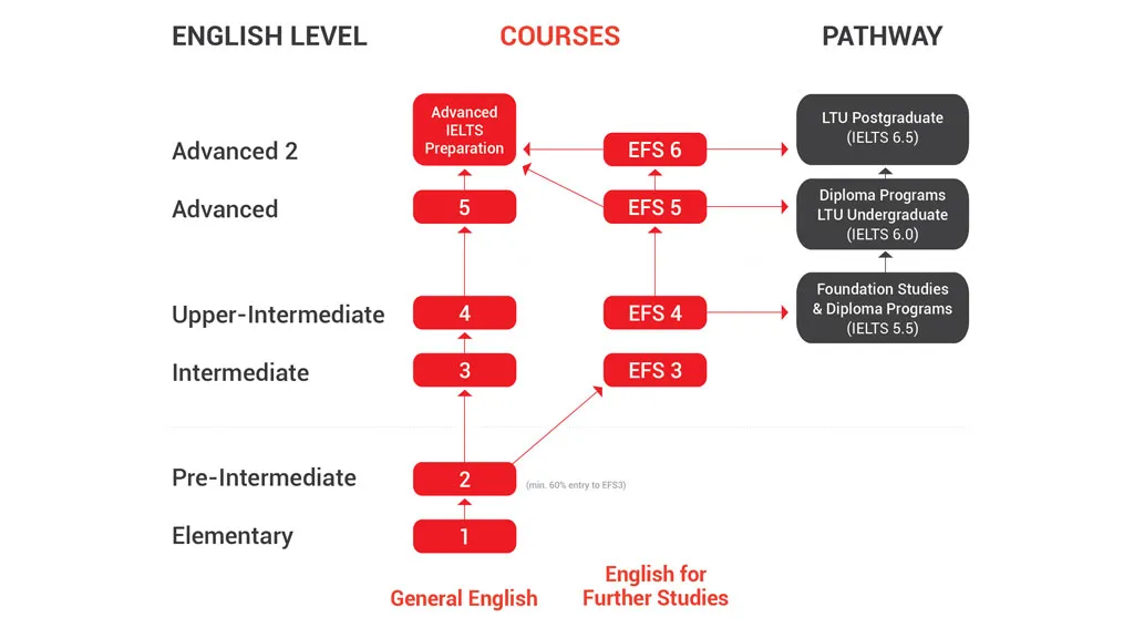 Pathway graphic